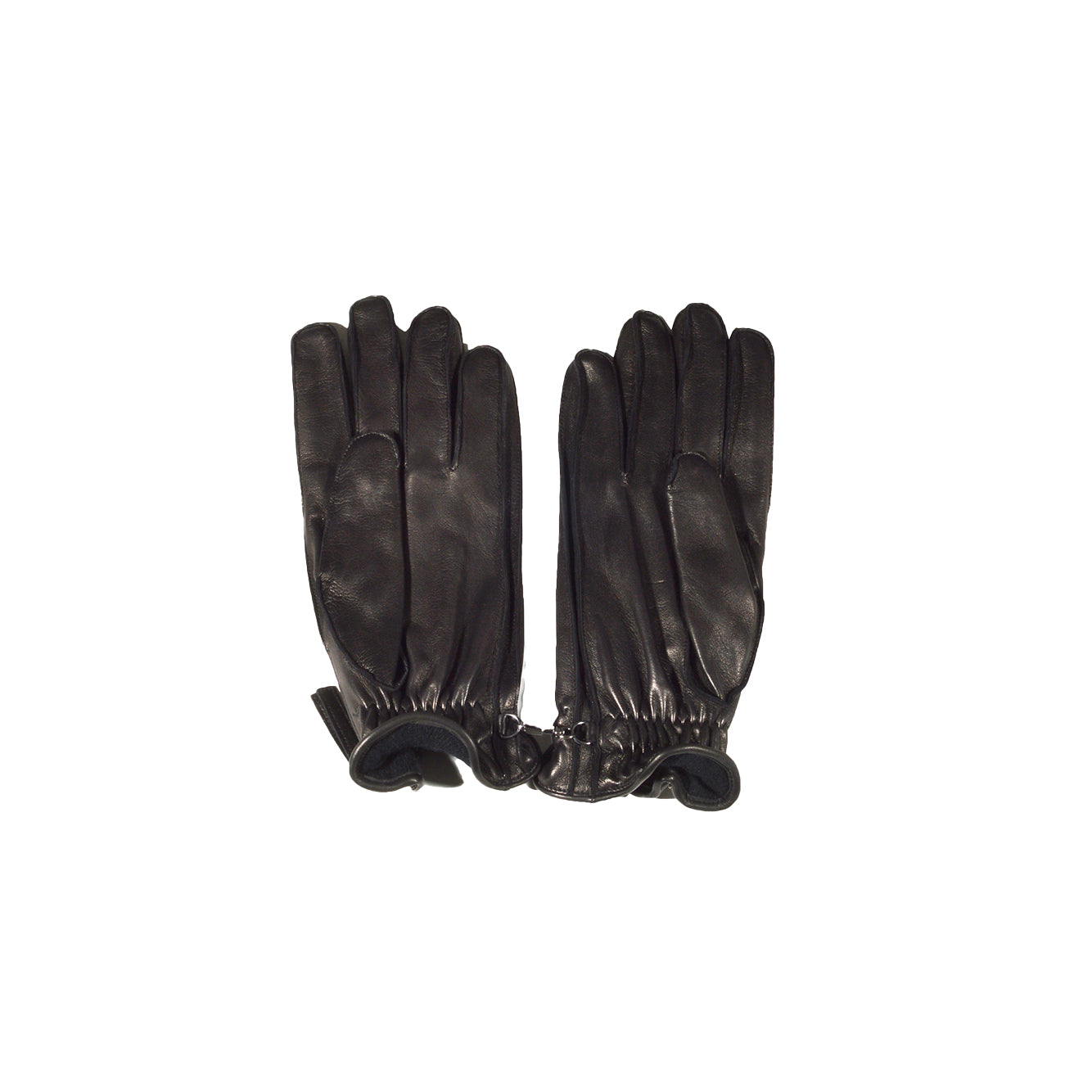 Dsquared2 GLM0017189034972124