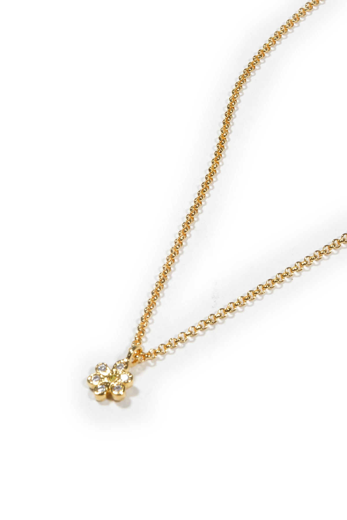 NDO Lab DAISYGOLD
