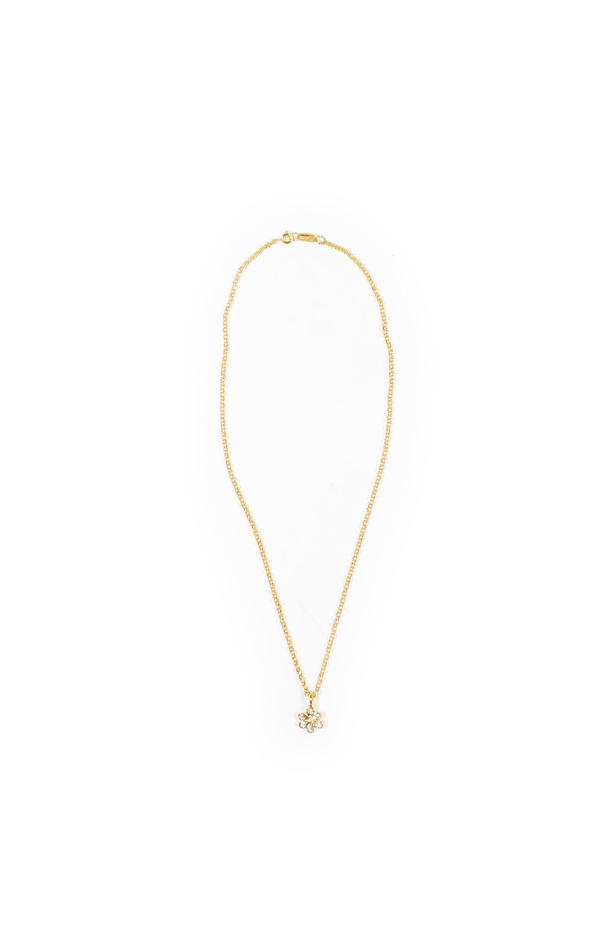 NDO Lab DAISYGOLD