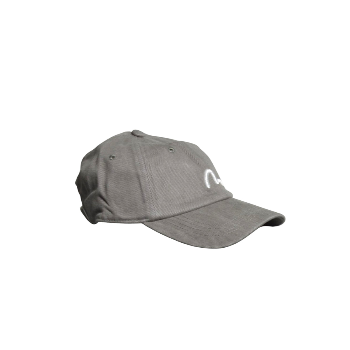 ht, cap w/ seagull print