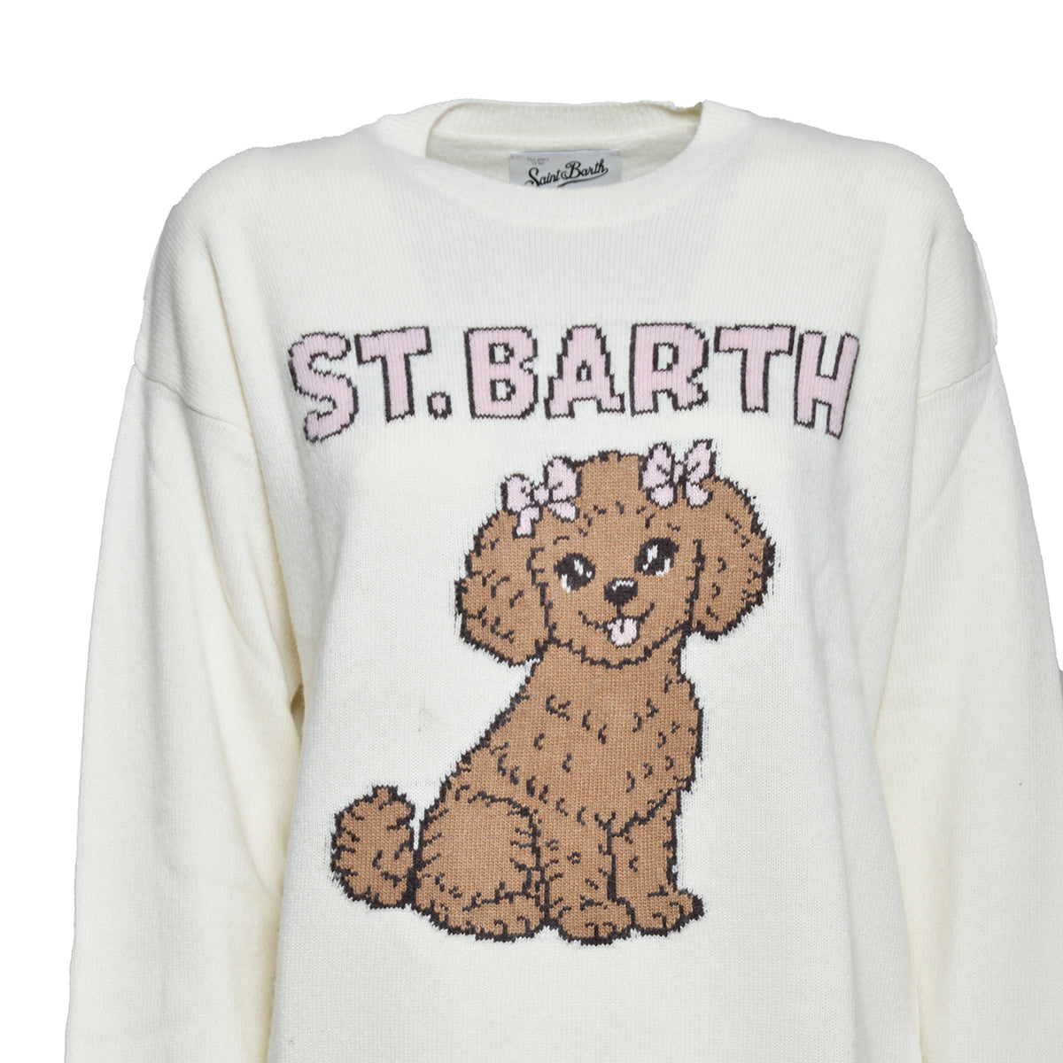 TESS00103442M10POODLE Saint Barth