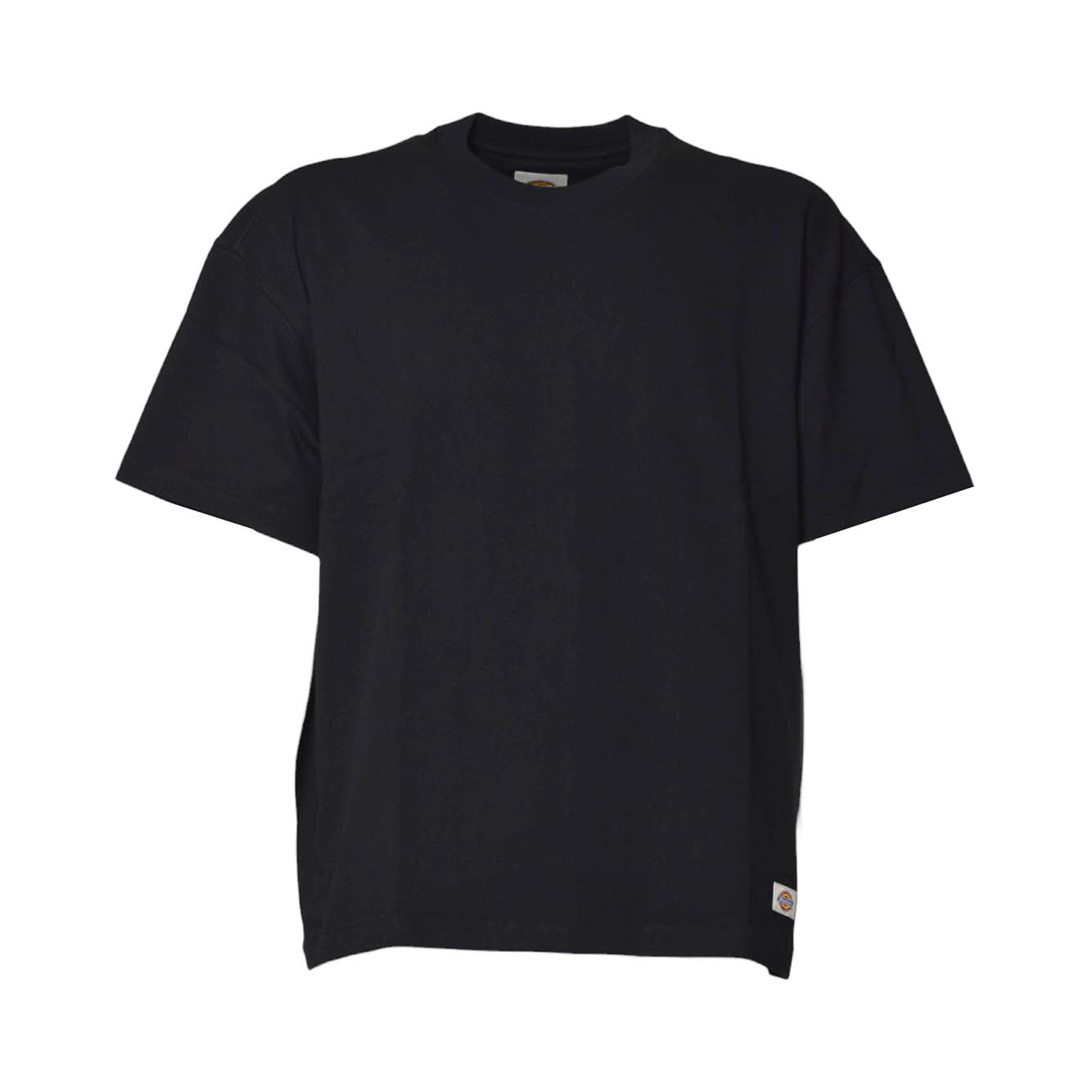 mineral heavyweight ss tee 