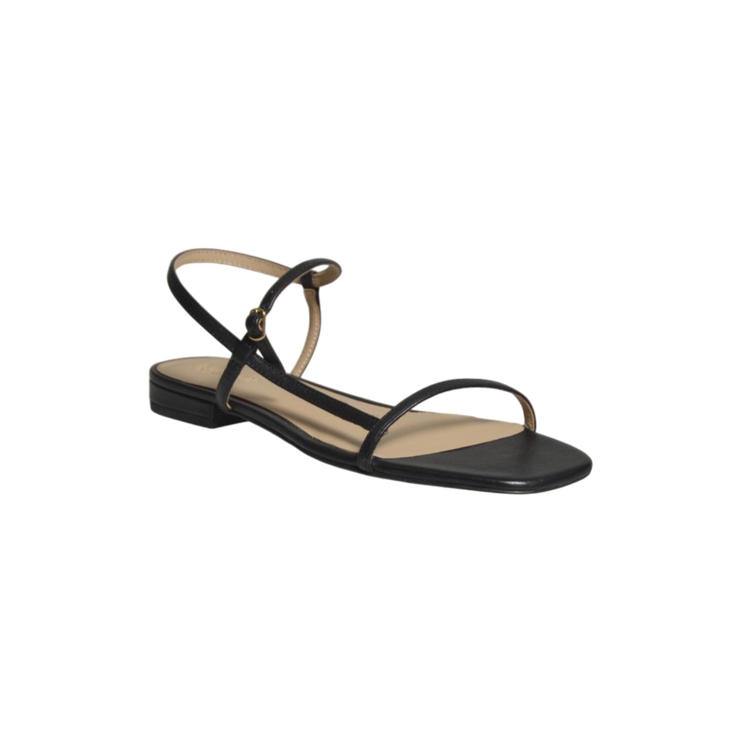 lainee-sandals-flat sandal 