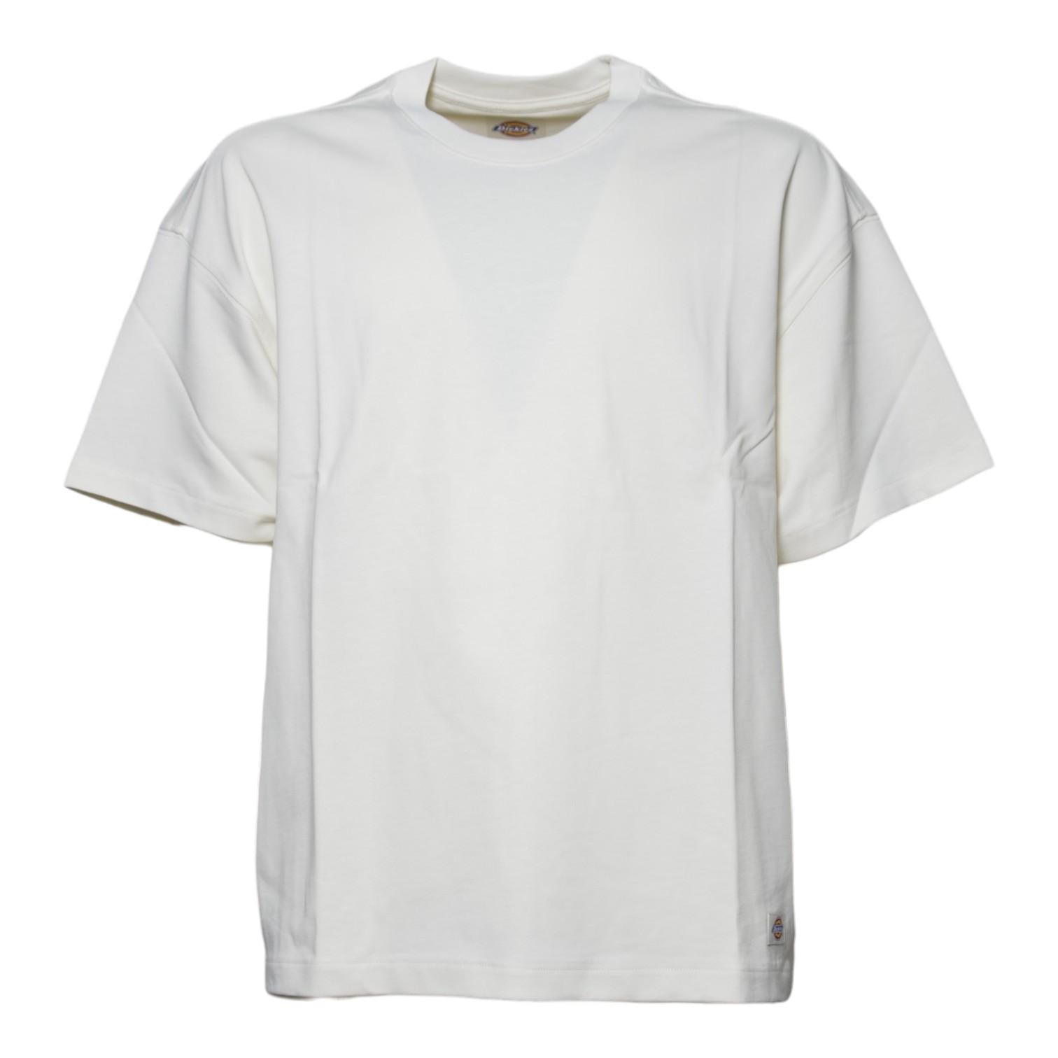 mineral heavyweight ss tee 