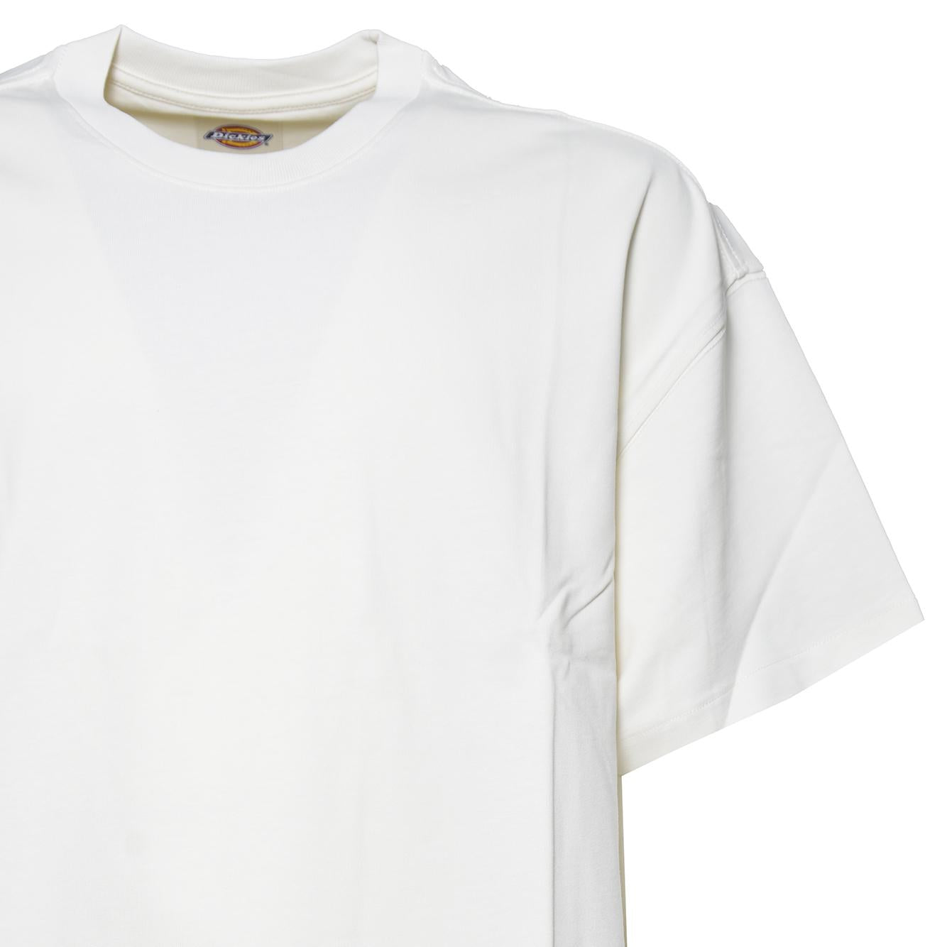 mineral heavyweight ss tee 